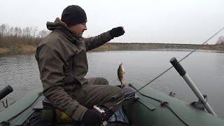 Perch in Place and Waiting for Lures. Jig Rig for Perch