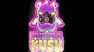 PURPLE KUSH STATIC #420 #music #newmusic #rap