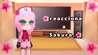 Reacciona a Sakura || equipo Taka || quipo Naruto||Sakura ||