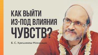 Как выйти из-под влияния чувств? Б. С. Хришикеш Махарадж  Махамандала: лекторий ШЧСМ