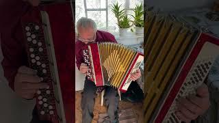 Working Russian accordion, 100 bass, Bayan, Button accordion, Soviet Garmon, Soviet bayan Molodechno