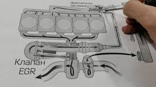 Как работает клапан ЕГР.