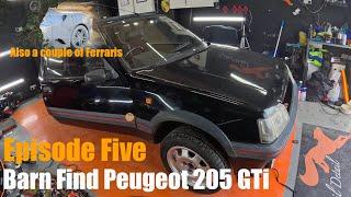 This Week At Foxtail Detail Episode 5 | Barn Find 205 GTi & Ferraris