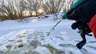 СМЕСТИЛСЯ К БЕРЕГУ, НАЧАЛСЯ КЛЁВ судака на балансир. Рыбалка зимой 2024