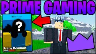 How To Get PRIME GAMING Roblox Items! - *EASY*