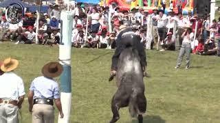 Jineteada en Clina en Campo Nano Kaiser Alcaraz (Entre Rios)