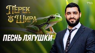  Перек Шира: Песнь лягушки (Рав Исраэль Якобов) Цикл: Песнь Творения. #44