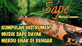 SAPE INSTRUMENT MUSIK DAYAK MERDU ENAK DI DENGAR