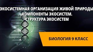 Экосистемная организация живой природы. Компоненты экосистем. Структура экосистем