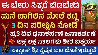 ಈ ಬೇರನ್ನು‌ ಬಾಗಿಲಿಗೆ ಕಟ್ಟಿ 3 ದಿನದಲ್ಲಿ ಹಣದ ಚಮತ್ಕಾರ ನೋಡಿ money attracting plant root for main door