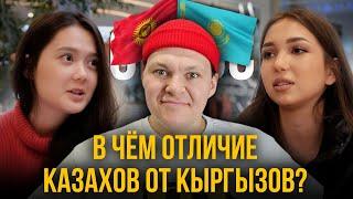 В чем отличие КАЗАХОВ от КЫРГЫЗОВ? Мнение жителей Бишкека, Ташкента, Алматы | каштанов реакция