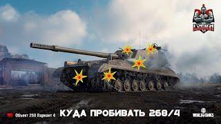 Куда пробивать 268/4 "Омон"