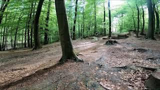 Deisterfreunde BMX Bahn #mtb #freeride #downhill #bigjumps #jumpline #enduro #save #greenhell