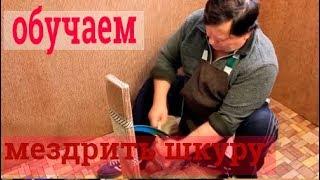 Как правильно обработать шкуру. Мездрение шкурок