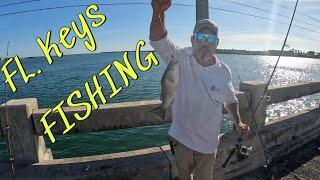 Back on the Water! Florida Keys Fishing