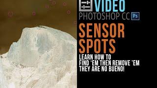 Photonerds: How to Find and Remove Sensor Spots