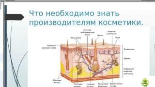 Какие ингредиенты входят в состав косметических средств и как они работают