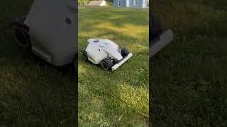 Robotic lawnmower #robot #mowing #lawn