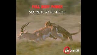 FULL BODY POWER - Kalari SECRETS REVEALED!