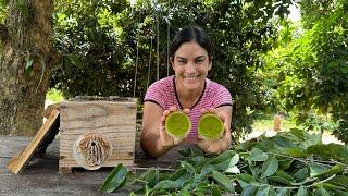 Como eu faço pomadas naturais cicatrizantes com produtos frescos aqui da roça