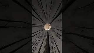 Meditation music for yoga |Relaxing music|@S-M-R #shorts