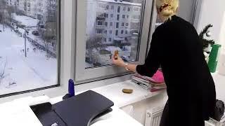 Ворона украла ложку
