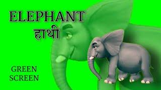 Elephant हाथी | running walking greenscreen cartoon animation | wild animals