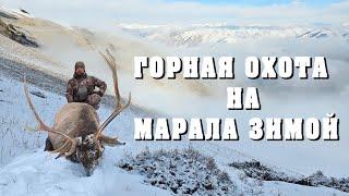 Горная охота на Марала зимой. Mountain hunting for Maral in winter