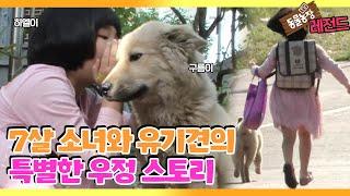 [TV 동물농장 레전드/SUB] ‘7살 소녀와 떠돌이 견의 우정’ 풀버전 다시보기 #TV동물농장 #AnimalFarm #SBSstory