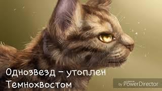 Смерти котов - воителей.