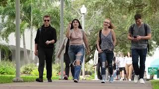 USF St  Petersburg campus