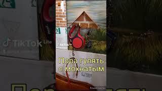 Сама иди гулять