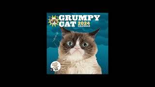 GRUMPY CAT channel intro (for 2024)