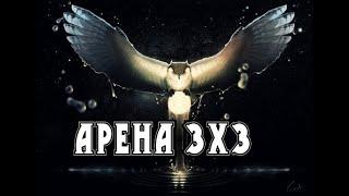 Уничтожители синов [арена 3х3]