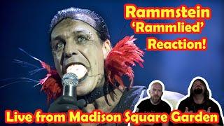 Musicians react to hearing Rammstein - Rammlied (Live from Madison Square Garden)!