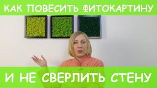 Как повесить фитокартину и не сверлить стену.