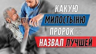 Какая МИЛОСТЫНЯ является наилучшей?