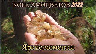 КОП САМОЦВЕТОВ 2022. Яркие моменты.