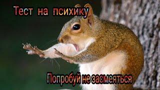 Тест на психику, попробуй не засмеяться, а у тебя не получится )