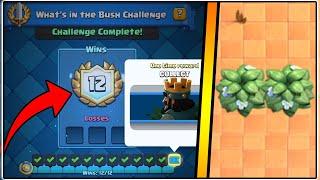 12-0 WHAT'S IN THE BUSH CHALLENGE | CLASH ROYALE | BEST WHAT'S IN THE BUSH CHALLENGE DECK!