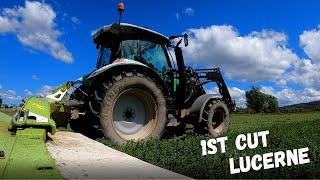 LUCERNE OR ALFALFA??? | Mowing Silage | Australian Farming