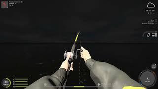 Трофейная Плащеносная Акула | Русская рыбалка 4 | Russian fishing 4