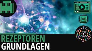 Rezeptoren Grundlagen│Biologie Lernvideo [Learning Level Up] [KI]