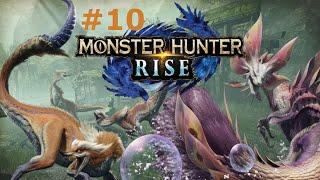 Monster Hunter Rise part 10 Frost Islands Sub Camps