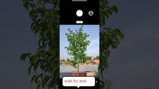 Mobile photography #netural photography #trees photography #hellophotography555#shorts new2023#short