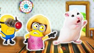 Scolded Hamster! Mother Minion's Wrath And Laser Minion's JoyHAMSTER OBSTACLE COURSEHammyHappyTDC