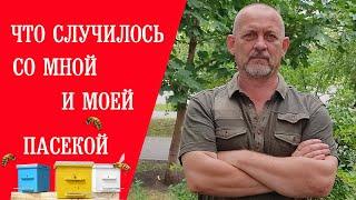 Что Случилось со  Мной и Моей Пасекой... || What happened to me and my apiary...