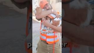 Therapy Dog Helps Shocked First Responder in Israel After Seeing Missile Damage from Iran.
