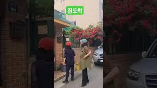 정동원ㆍ추억의소야곡ㆍ집앞장미공원 #music #dance #디스코 #강아지 #미스터미스터 #트로트 #트롯 #댄스 #automobile #kpop