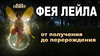 ИДЕАЛЬНАЯ ФЕЯУлучшение  Перерождение  Прокачка и получение в Black Desert (MMORPG - ИГРЫ)